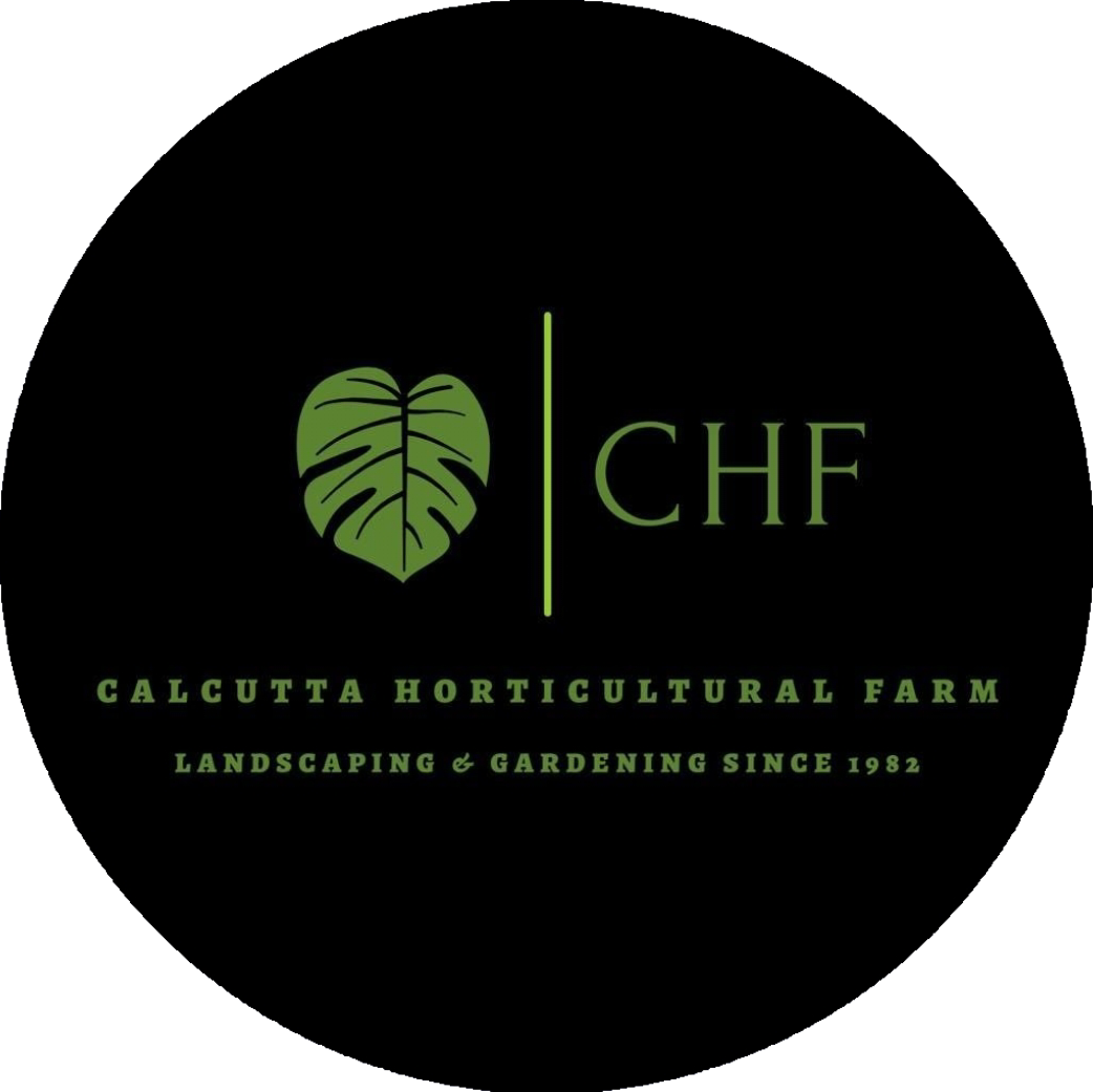 CHF Logo